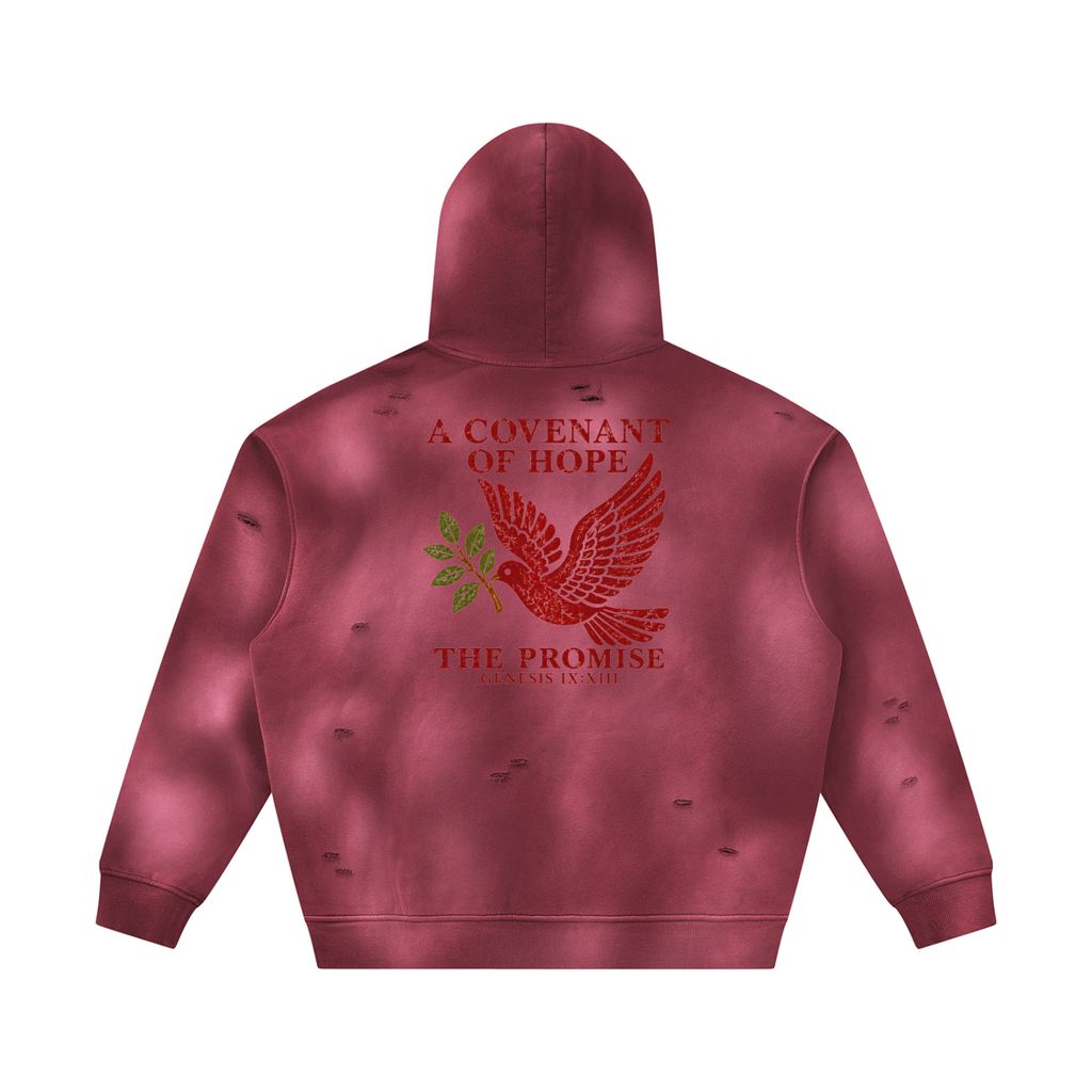 The Covenant Sunfade Hoodie