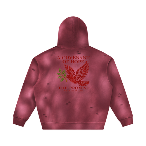 The Covenant Sunfade Hoodie