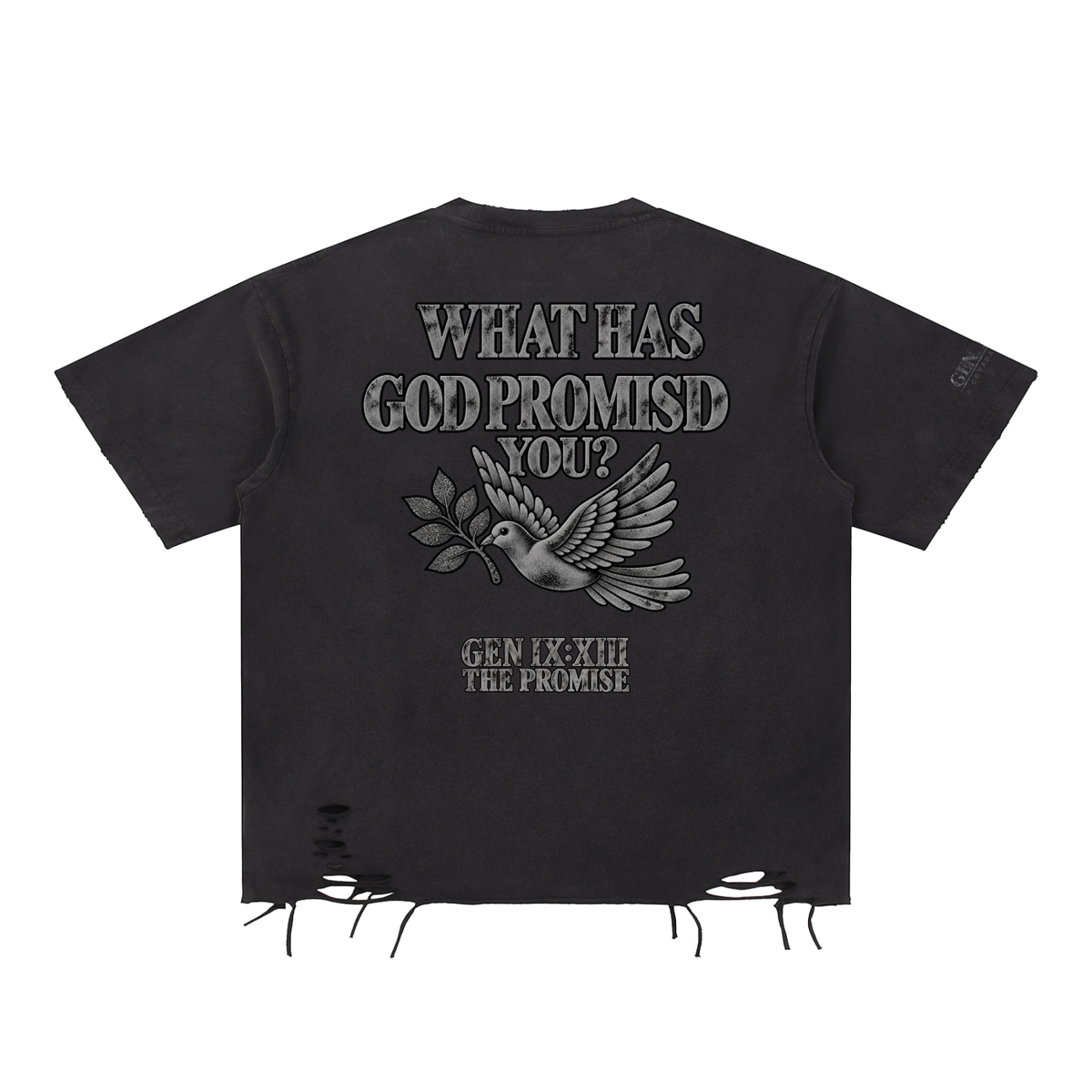 The Promise “What Has God Promised You?” Distressed Tee