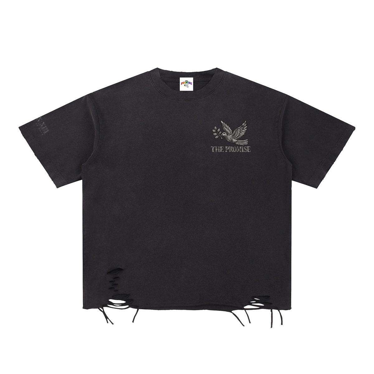 The Promise “What Has God Promised You?” Distressed Tee
